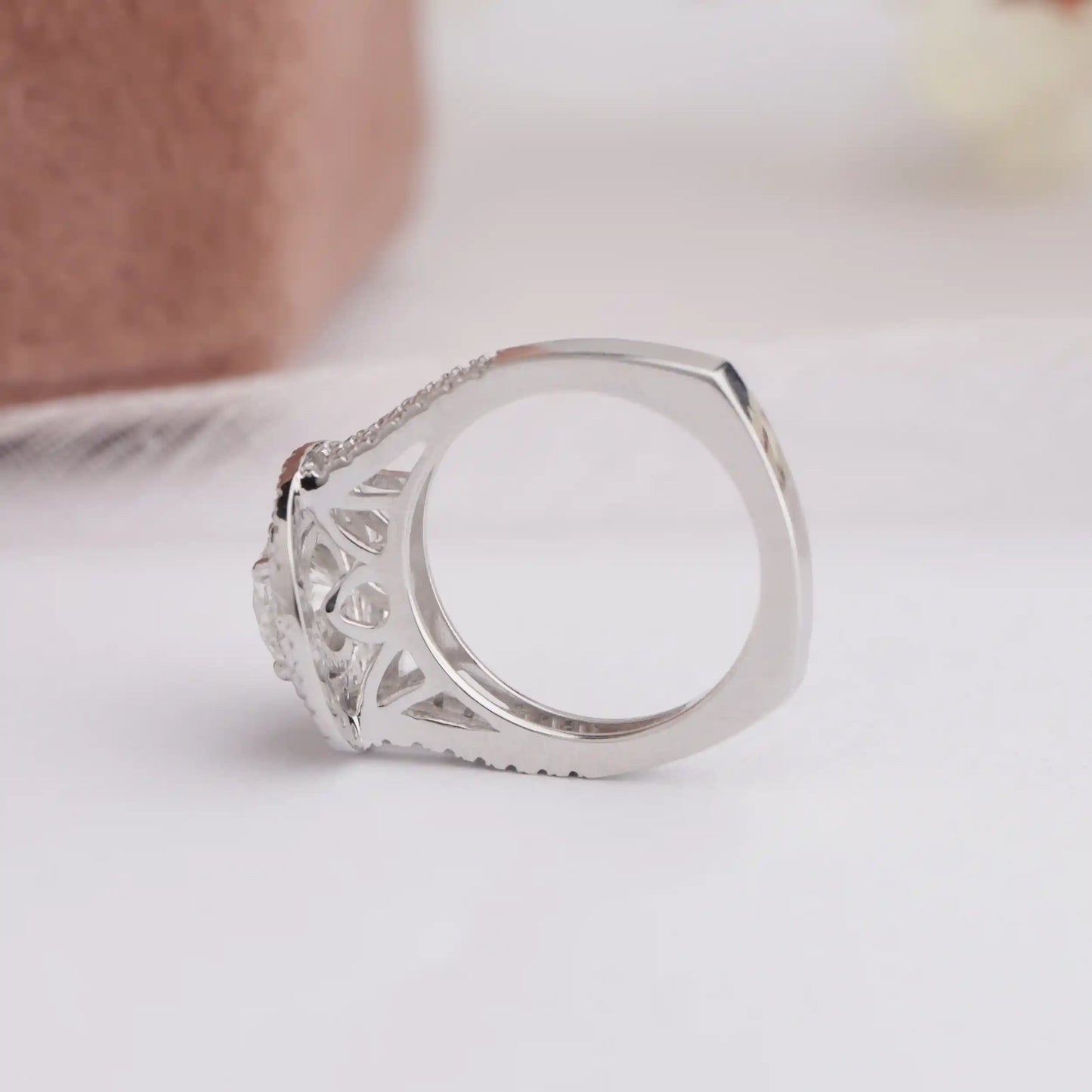 Round Cut Double Halo With Accent Lab Diamond Ring